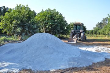 Consumo de calcário mostra importância da correção de acidez na produtividade